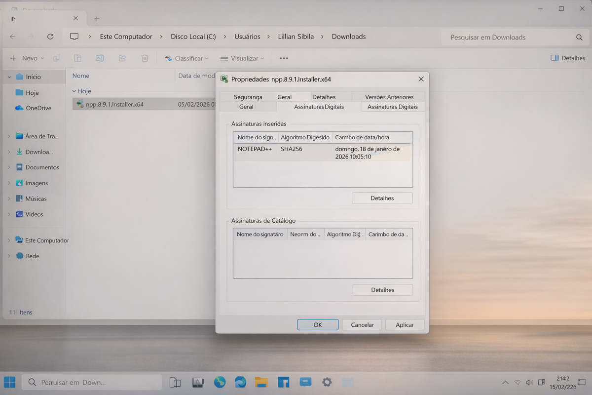 Tela de propriedades do Windows mostrando assinatura digital